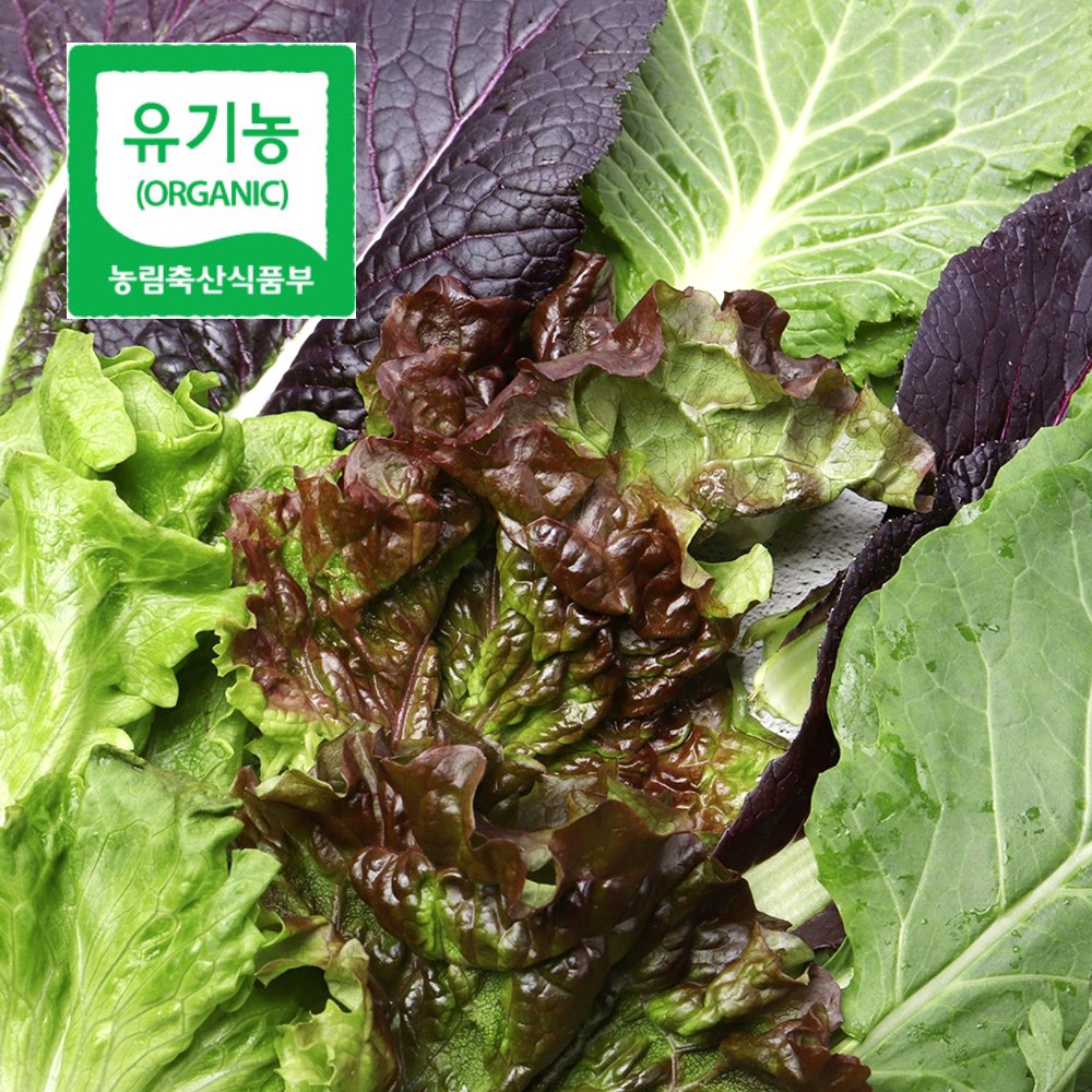 청담농수산 당일수확 유기농 모듬 쌈채소, 1개, 600g 20,700원