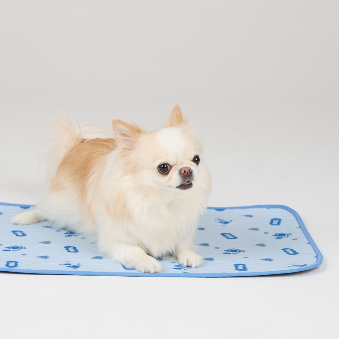 핸독 빨아쓰는 배변패드, 1개, 1개입, 현재가 17,400원