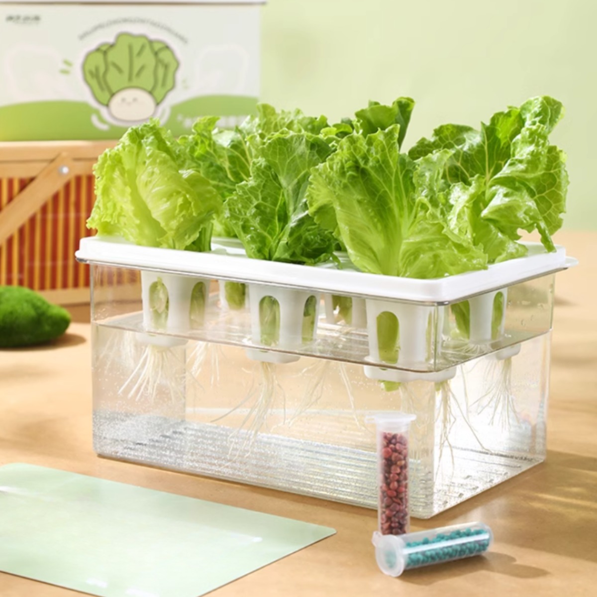 상추 샐러드 수경재배키트 6구 17,900원