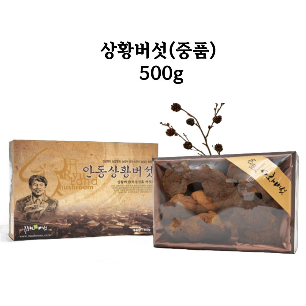 류충현약용버섯 뽕나무 상황버섯 선물세트 국내산 무농약 목질진흙버섯 100% 베타글루칸 225,000원