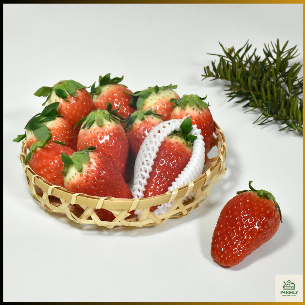 (하나씩 개별망 포장)특특 사이즈 킹스베리 500g,1kg, 1개, 왕사이즈 18개입 내외 1kg 58,590원