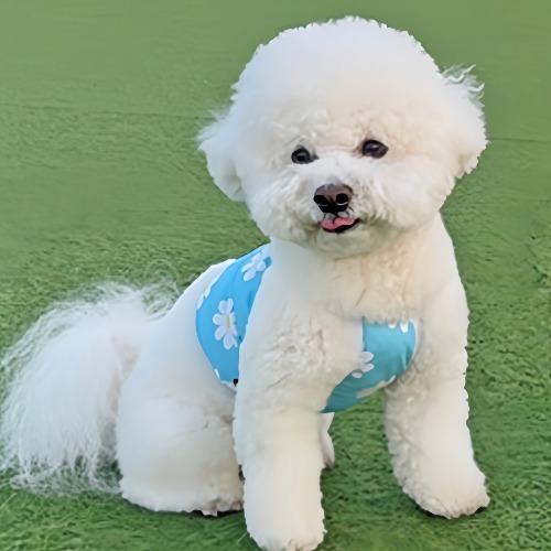 멍템 반려동물 데이지 크롭 쿨나시, 블루, 1개 18,300원