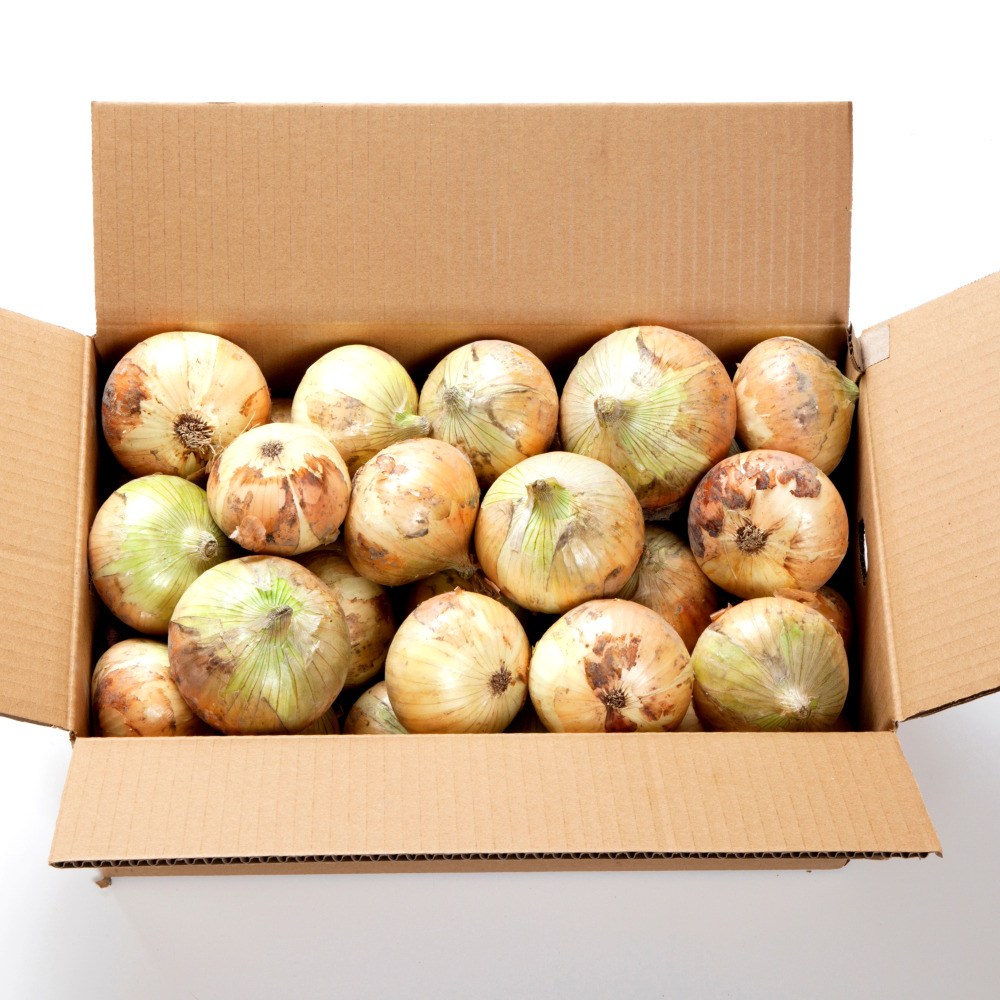 [농가신선] 산지발송 속이꽉찬 햇 양파 국내산 13,200원