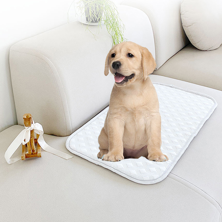 크리벨 반려동물 코오롱 포르페 냉감 쿨매트 스페셜 28,290원