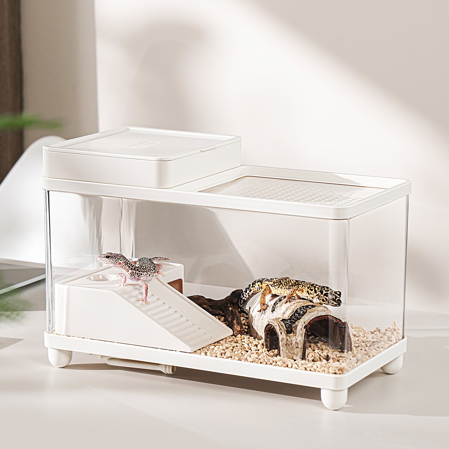 Tinduo 클리어 어항아 쿠아리움 & 도마뱀 소라게 육지거북이 키우기 세트, 1개, 순백 41,290원