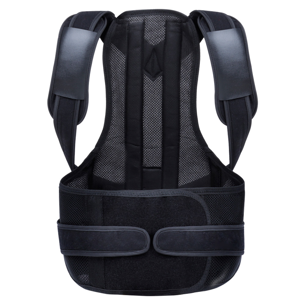 바디보감 바른자세 바른핏 밴드 L, 1개 41,900원