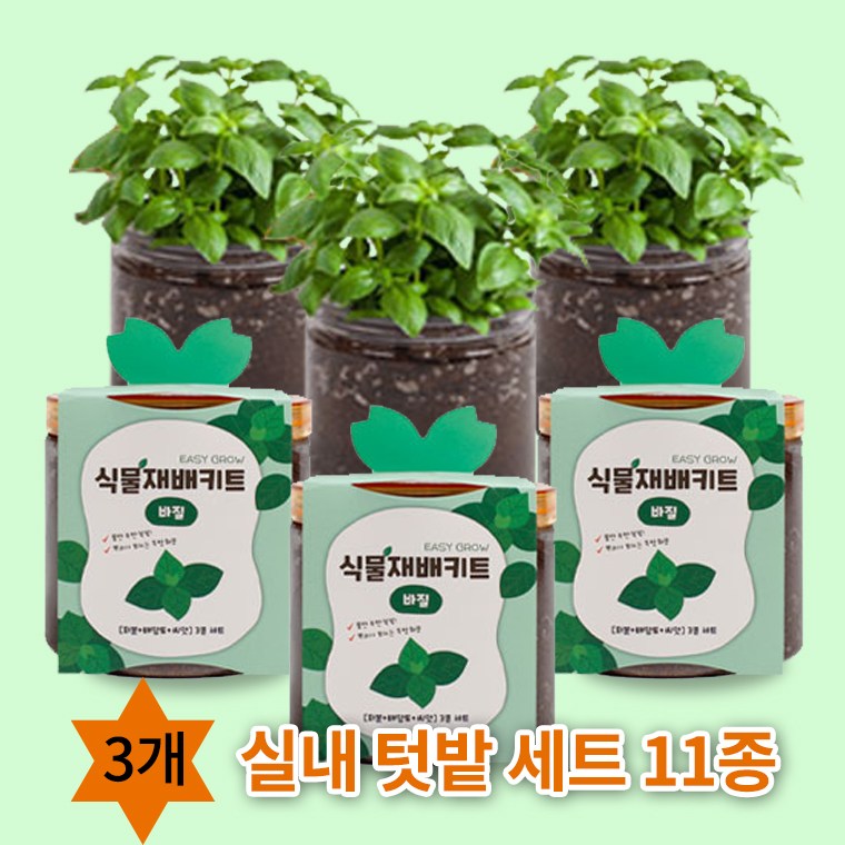 마이팜 실내텃밭 식물키우기 베란다 식물재배키트 화분11종 13,800원