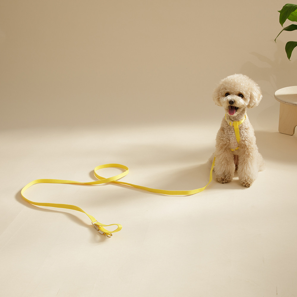 힛찌 강아지 초경량 버클 리드줄, 레몬 옐로우, 1개 19,400원