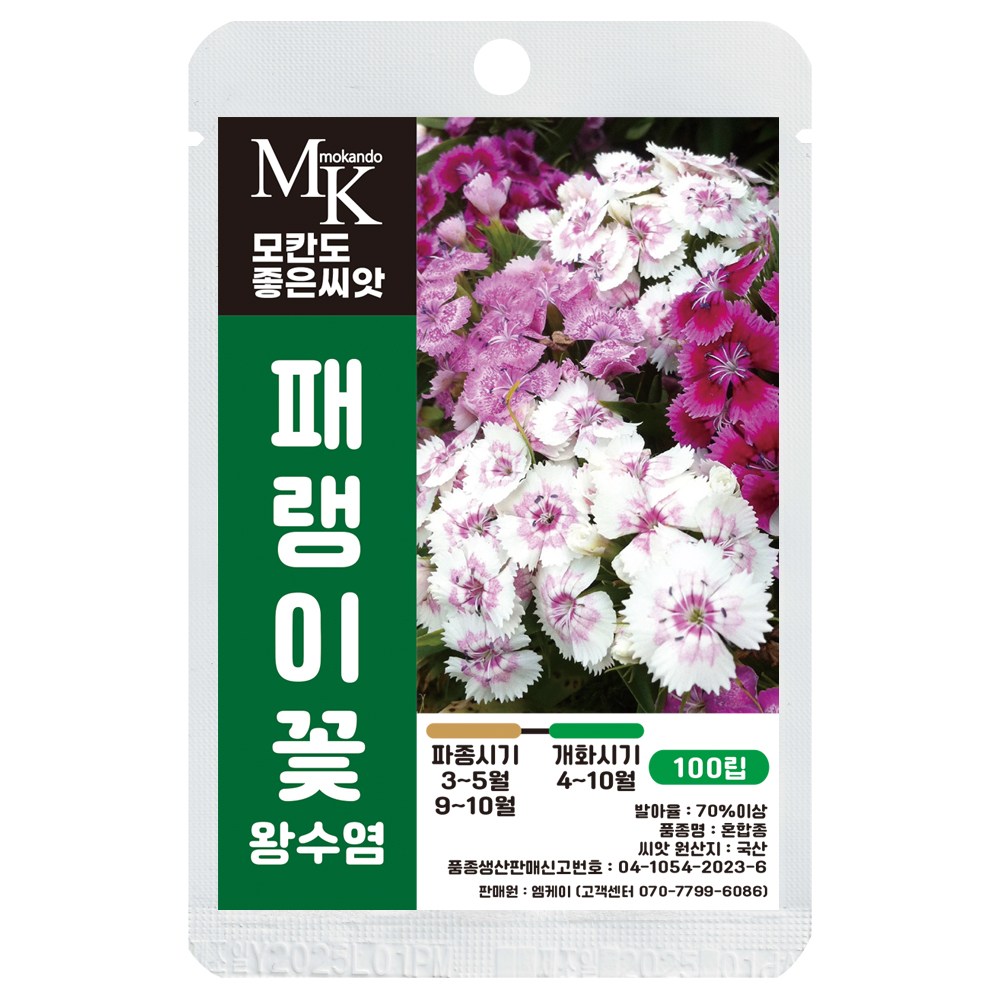 모칸도 좋은씨앗 왕수염패랭이꽃 씨앗 100립 혼합종 국산 꽃씨 꽃씨앗, 1개 3,700원