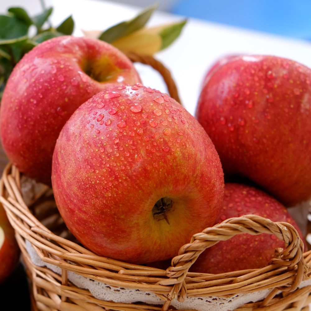 [2차선별] 부사 사과 아삭한 햇사과 당도선별 고당도 꿀사과 정품 디아머스 40,400원