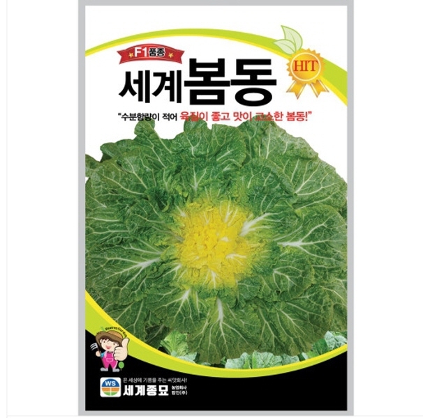 세계봄동배추 600g / 배추씨앗 배추종자 CR 79,890원