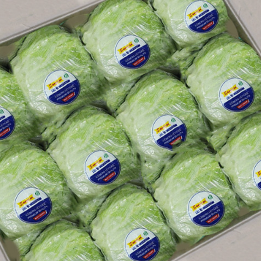 수입 양상추 최상품 12통 1박스, 12개, 580g 21,900원