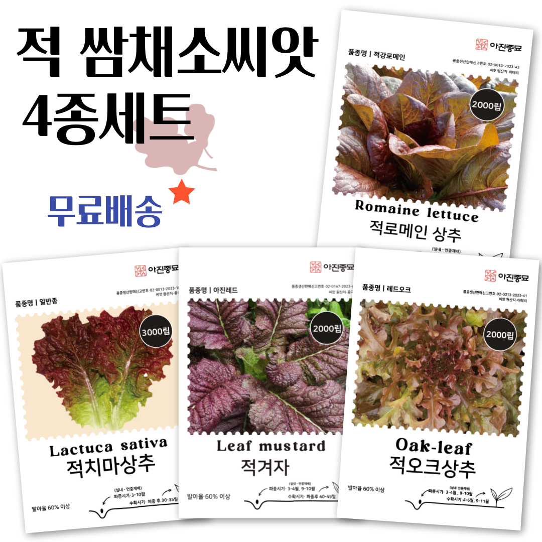 적 쌈채소씨앗 4종세트 적 로메인상추 적 겨자채 적오크상 적치마상추 씨앗 씨 종자, 1개 9,970원