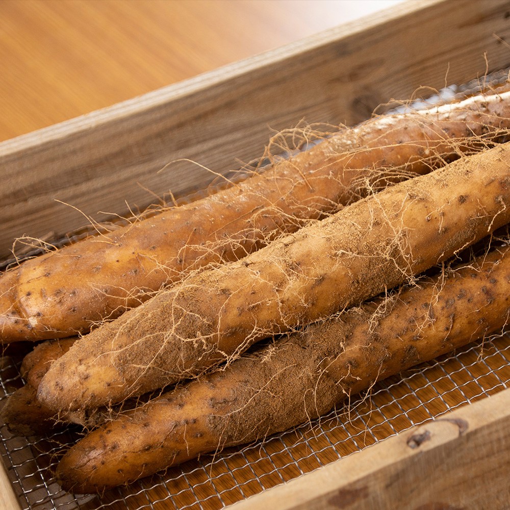 안동 태산농장 2025햇마 장마, 1박스, 5kg (o.장마특품) 84,900원