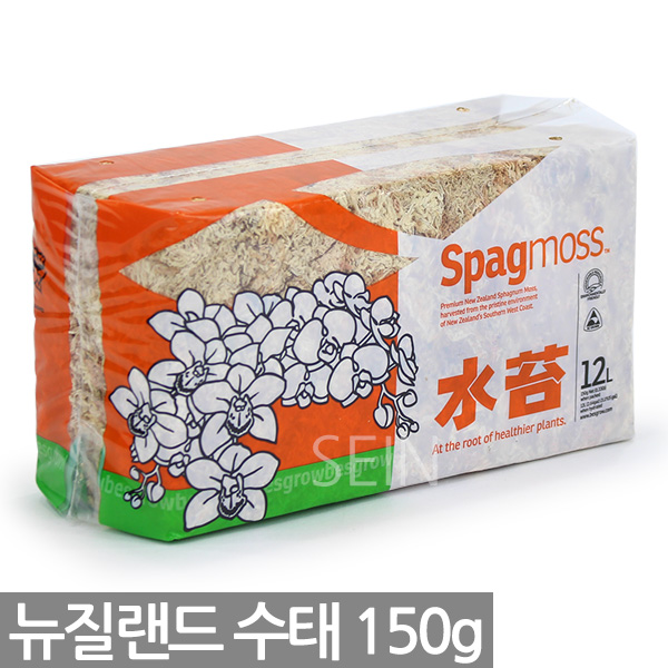 세인화분 뉴질랜드 칠레 수태 75g 150g - 천연수태 석부작 재료 풍란 토피어리 이끼 몬스테라 수태봉 고급 난 분재 화분 목부작 분경 13,480원