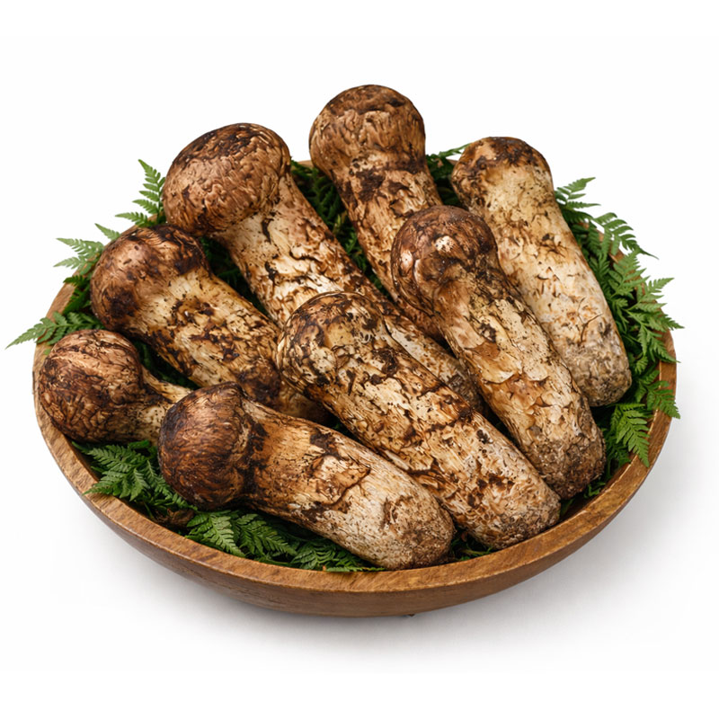 자연산송이총판 자연산 송이버섯 명품 송이 버섯1등급 2등급 500g 1kg 선물세트 345,000원