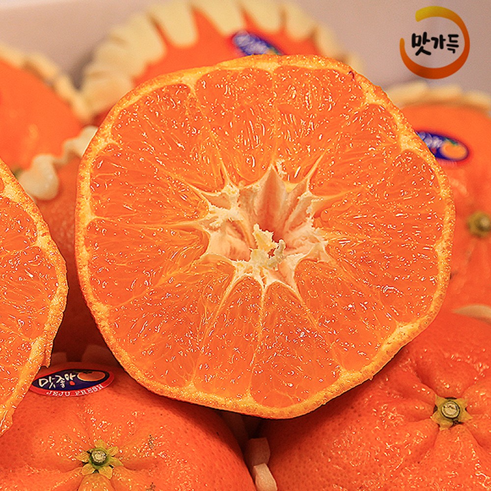 제주 귤 감 타이벡 고당도 1.5Kg 2Kg 3Kg 14,760원