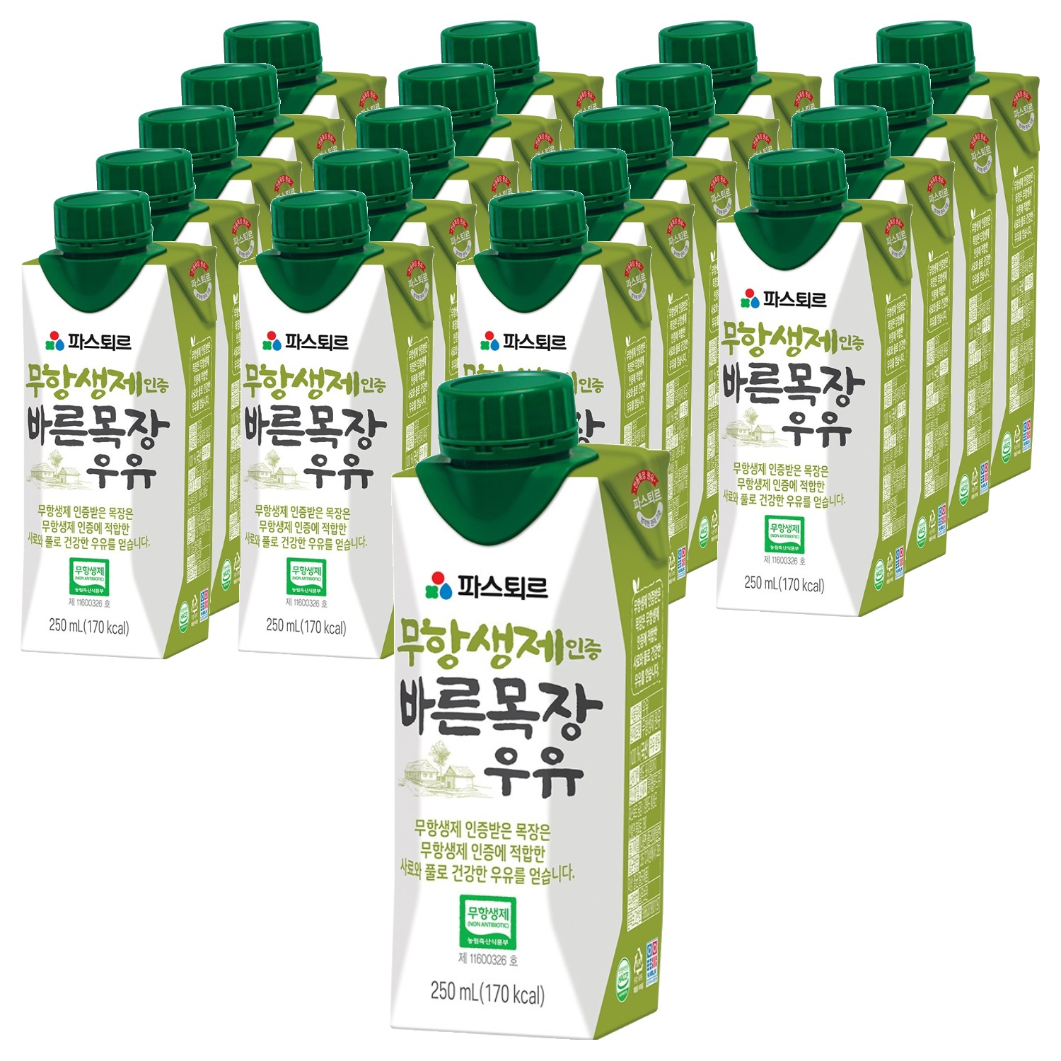파스퇴르 바른목장 우유, 250ml, 20개 15,890원