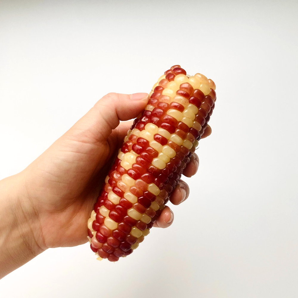 간식 다이어트간식 냉동 삶은 찰옥수수 홍찰옥수수 특품(중), 20개, 3 kg 내외 16,990원