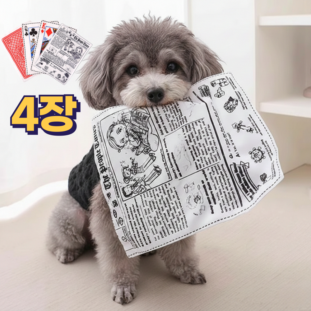 이브앤유 찢어지지 않는 강아지 고양이 신문지 장난감, 1세트, A형(혼합) 7,000원