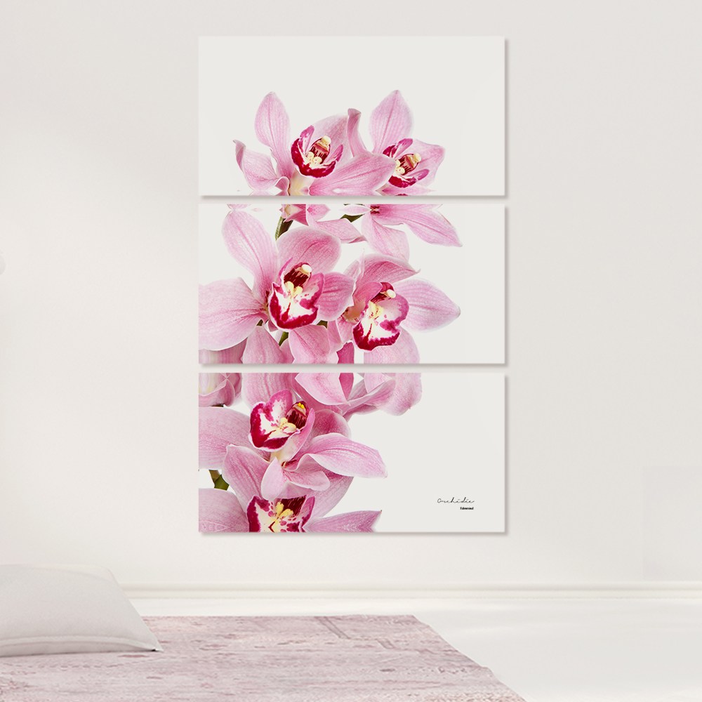 인메이블 거실 인테리어 캔버스 액자 57종 대형 분할 그림 북유럽 카페 풍경 사진 식물 집들이 선물 소품 113,520원