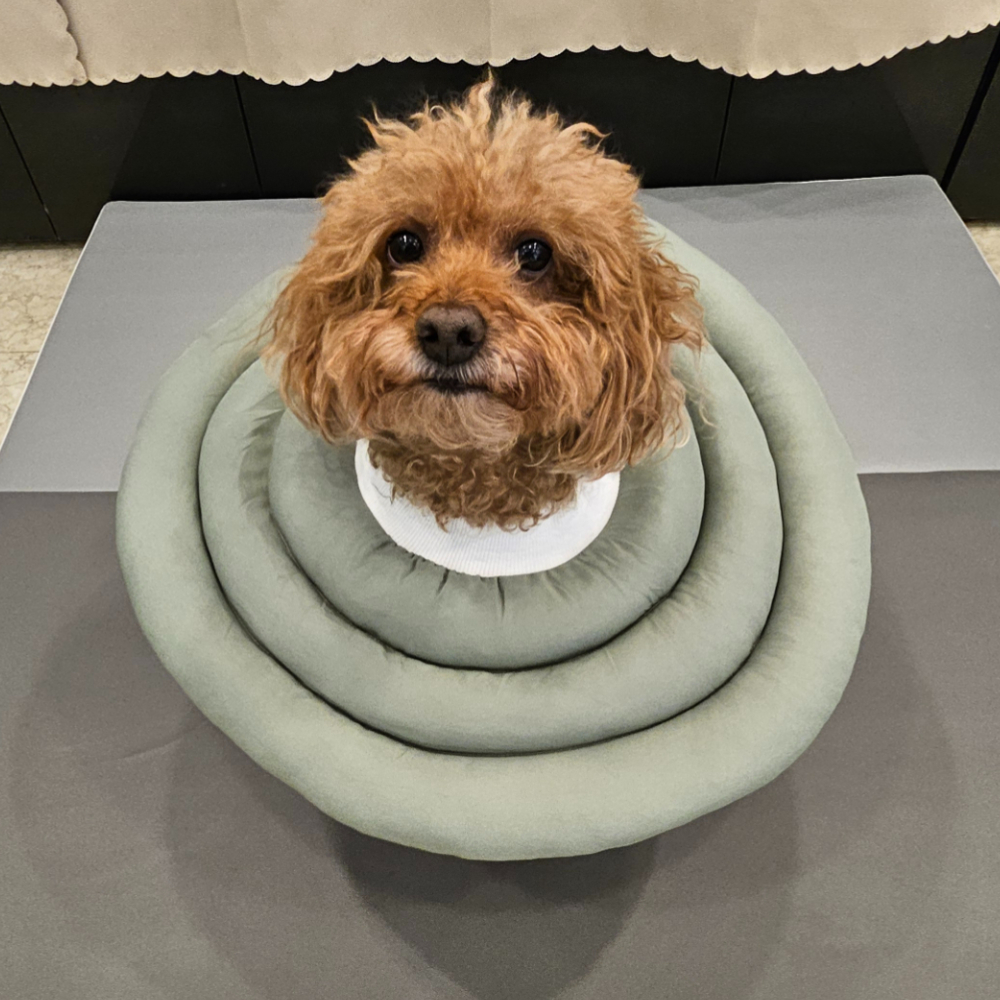 MAAH 강아지 넥카라 대형, 카키그린, 1개 27,280원