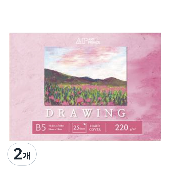 두성 아트프린스 드로잉 무선 스케치북 220g D09, B5, 25매, 2개 9,000원