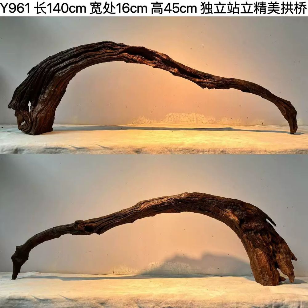 대형 유목 수족관 분재 성형유목 비바리움 수초 조경 소나무 280,400원