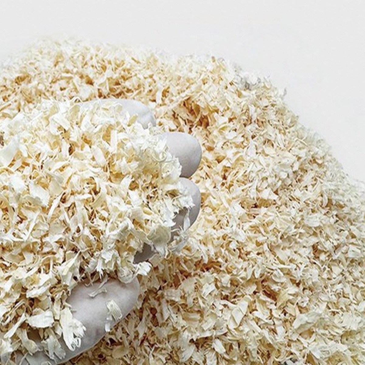 포시즌 소프트 아스펜 베딩, 3개, 400g 15,000원