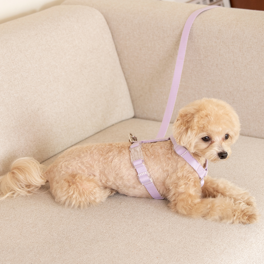 요기쏘 마이독 앞섬방지 H형 하네스 + 핸즈프리 리드줄 세트 23,800원