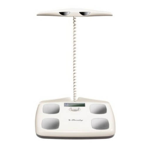 인바디 다이얼 체중계 291,000원