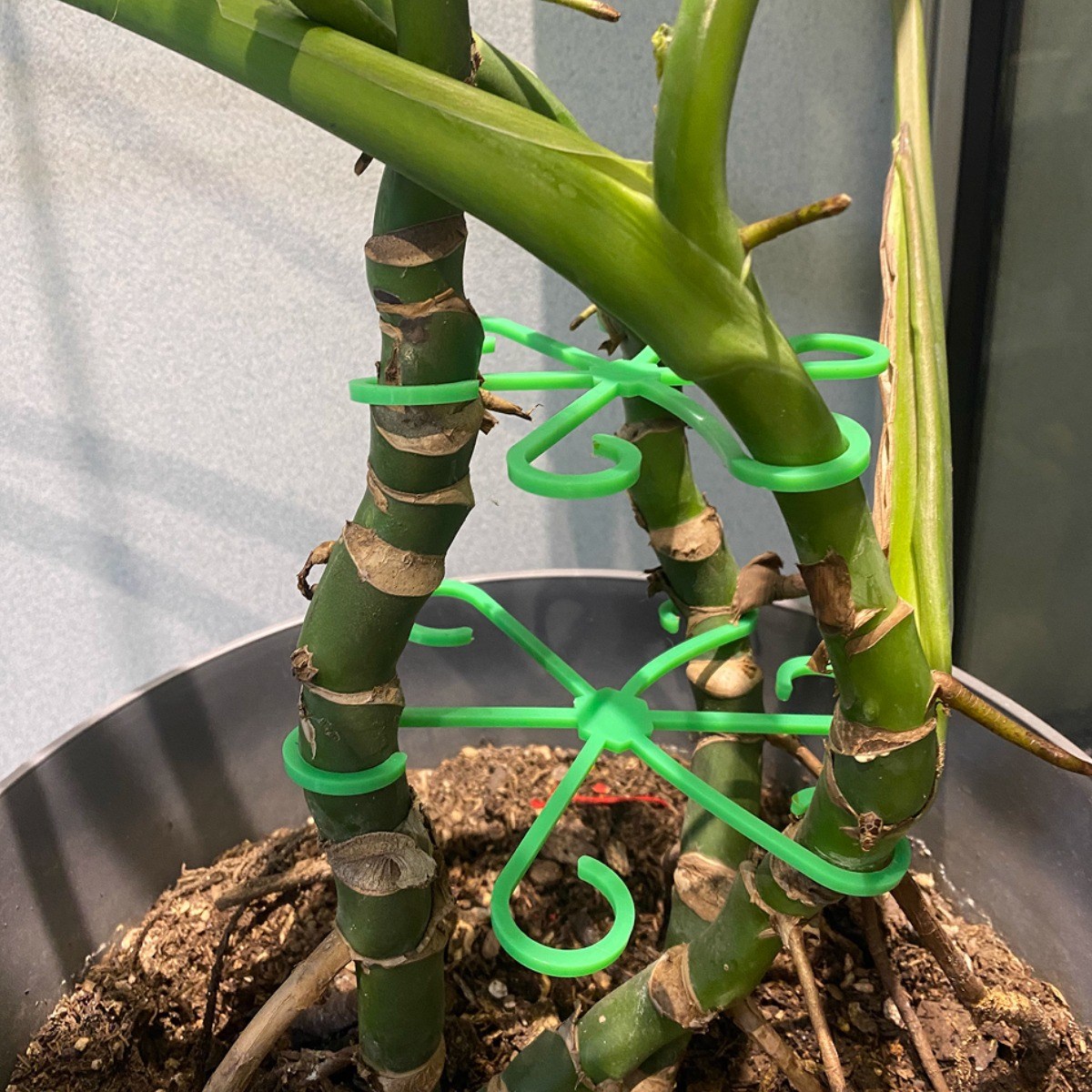 두두타운 바람개비 줄기 식물지지대 4종 5,900원