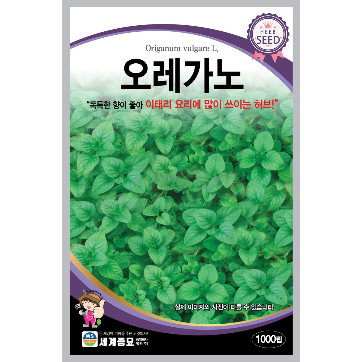 세계종묘 오레가노 1000립 허브씨앗 3,700원
