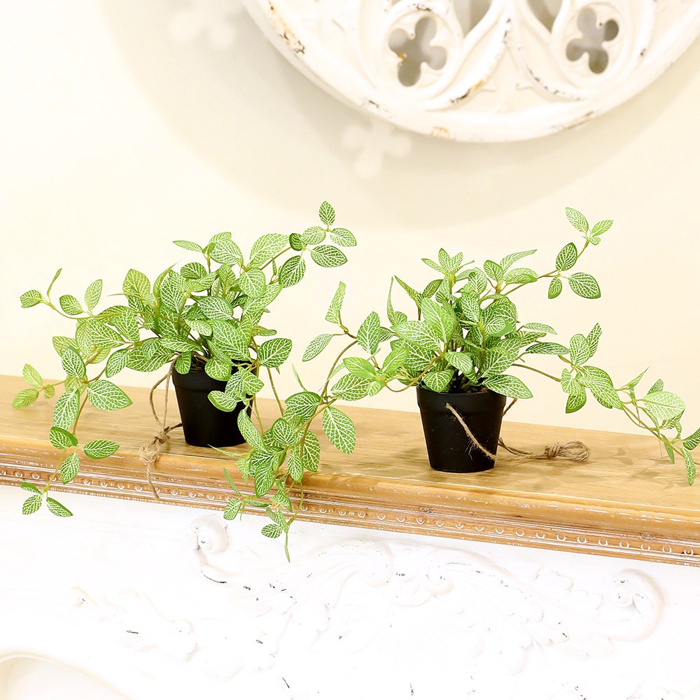 인테리어 조화 행잉플랜트 벽장식 가랜드 뉴행잉넝쿨화분, 1세트, 휘토니아 24,900원