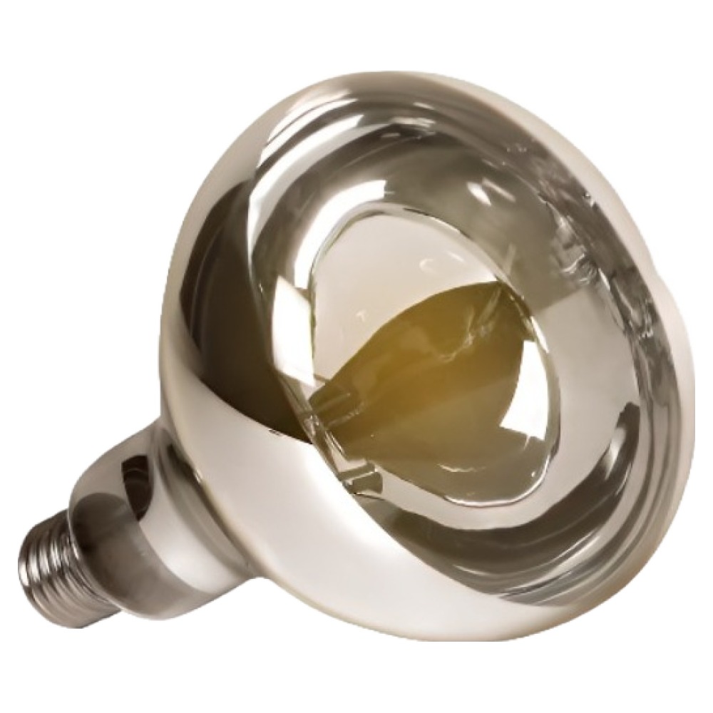 페이토 UVA 주간 히팅램프 데저트 사막형 25W, 단일색상, 1개 10,000원