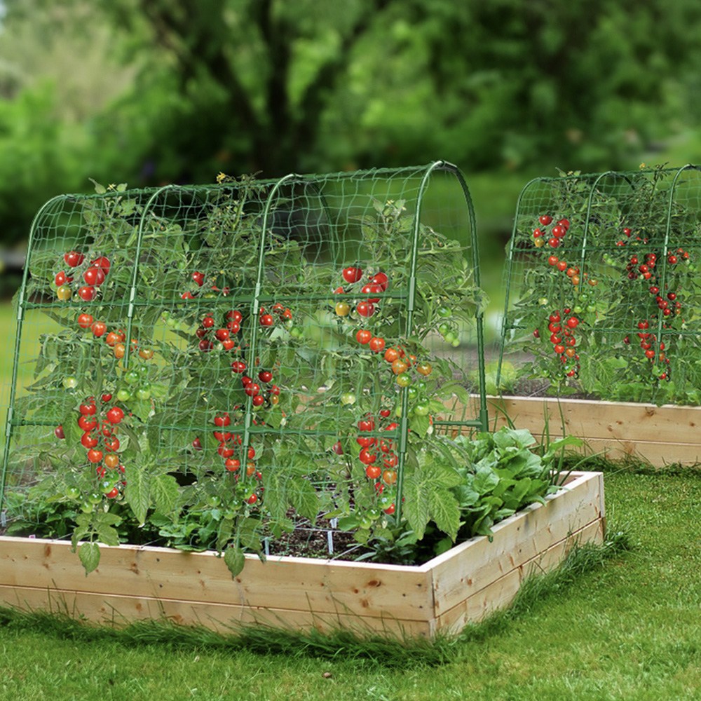 HK sell 덩이 덩굴 화초 오이 호박 포도 토마토 지주대 넝쿨 텃밭 지지대 29,800원