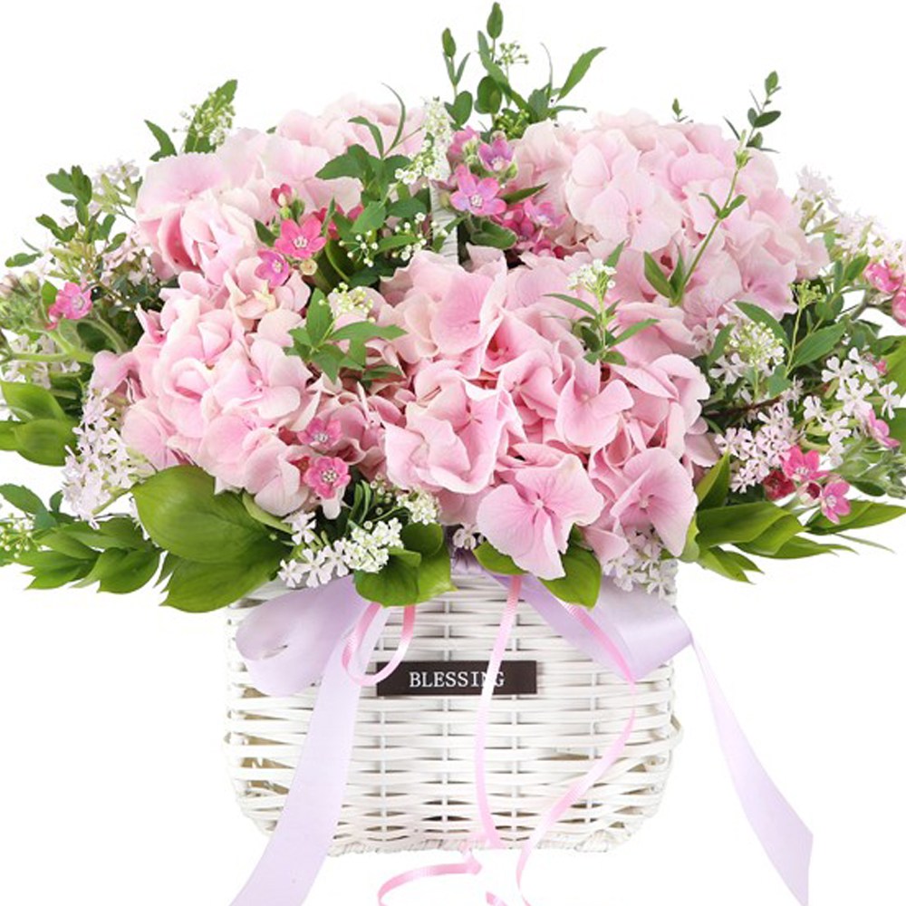 (오늘도착) 99플라워 풍성한 꽃바구니 "오늘은 맑음" ST-A2078 - 생일 기념일 결혼기념일 당일꽃배달 전국당일배송 생화 66,900원