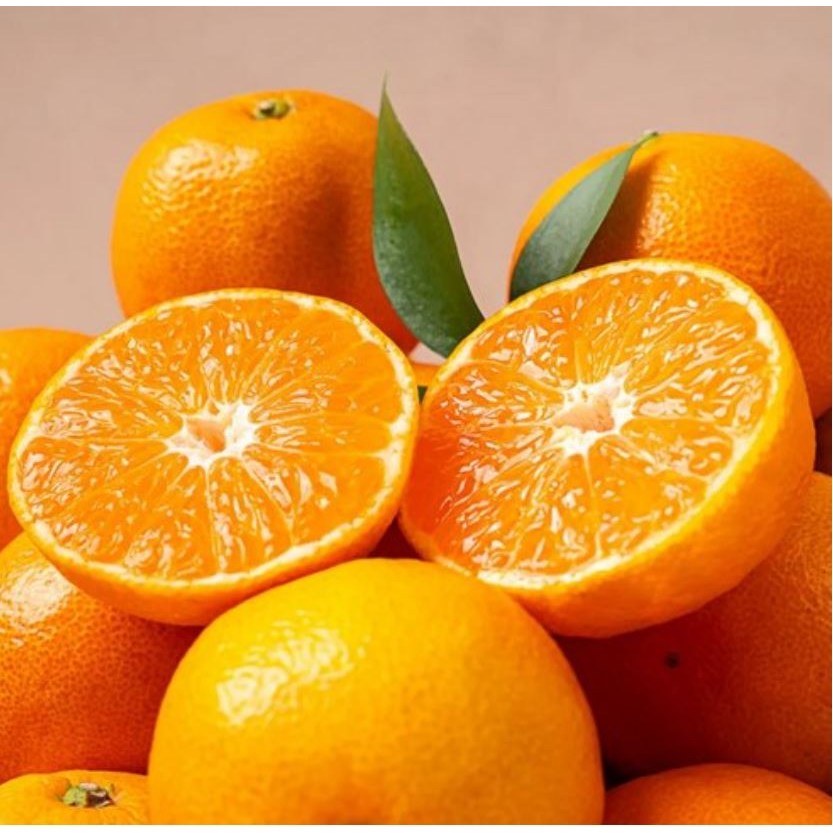 고당도 제주 서귀포 감귤 21,390원