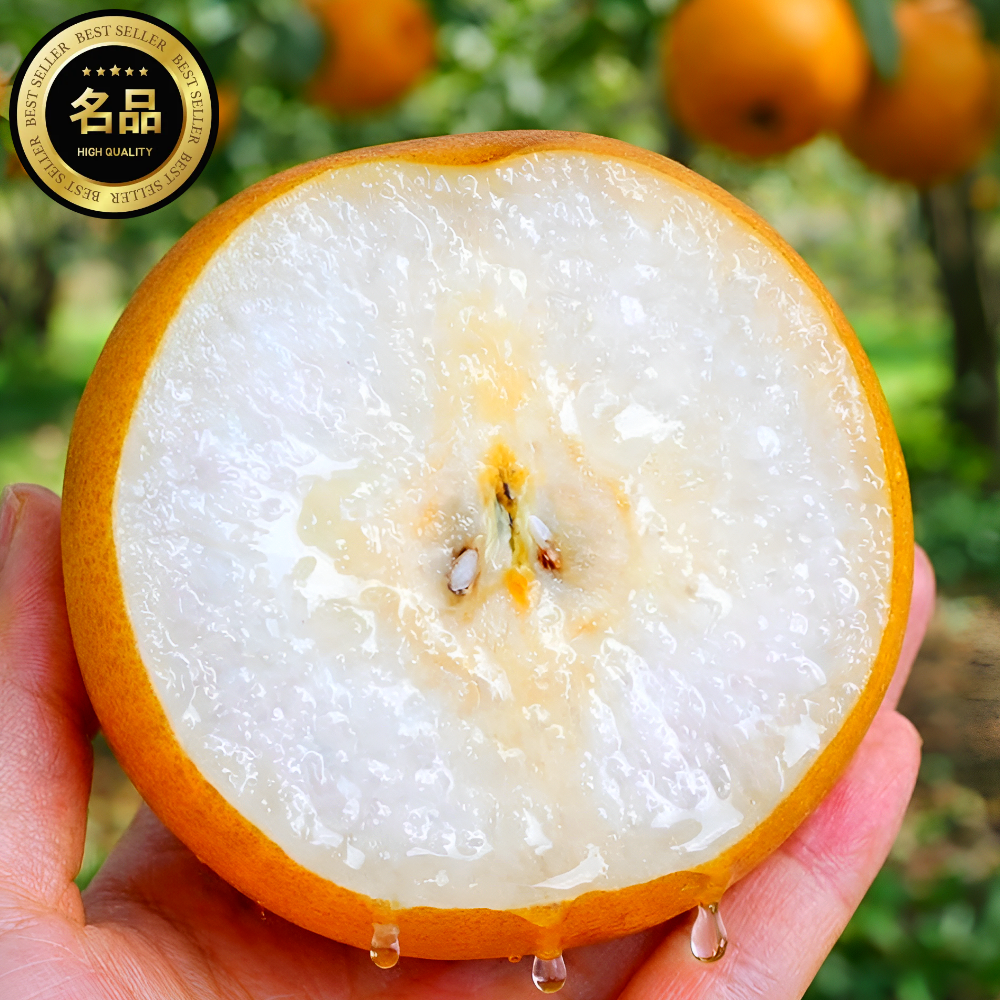 [7일파격할인] 30년명인 산지직송 당도선별 나주배, 현재가 18,700원