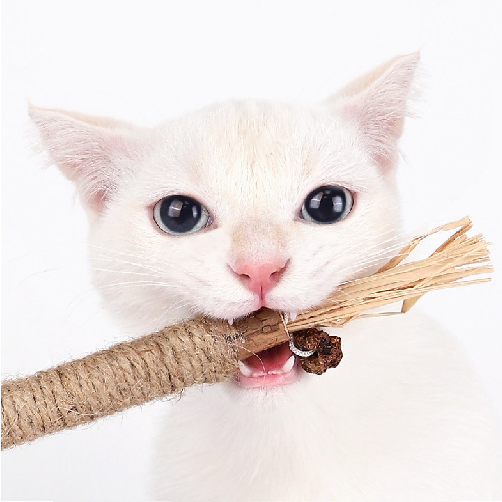 고냥냥 마따따비 캣닢 고양이 장난감 12,900원