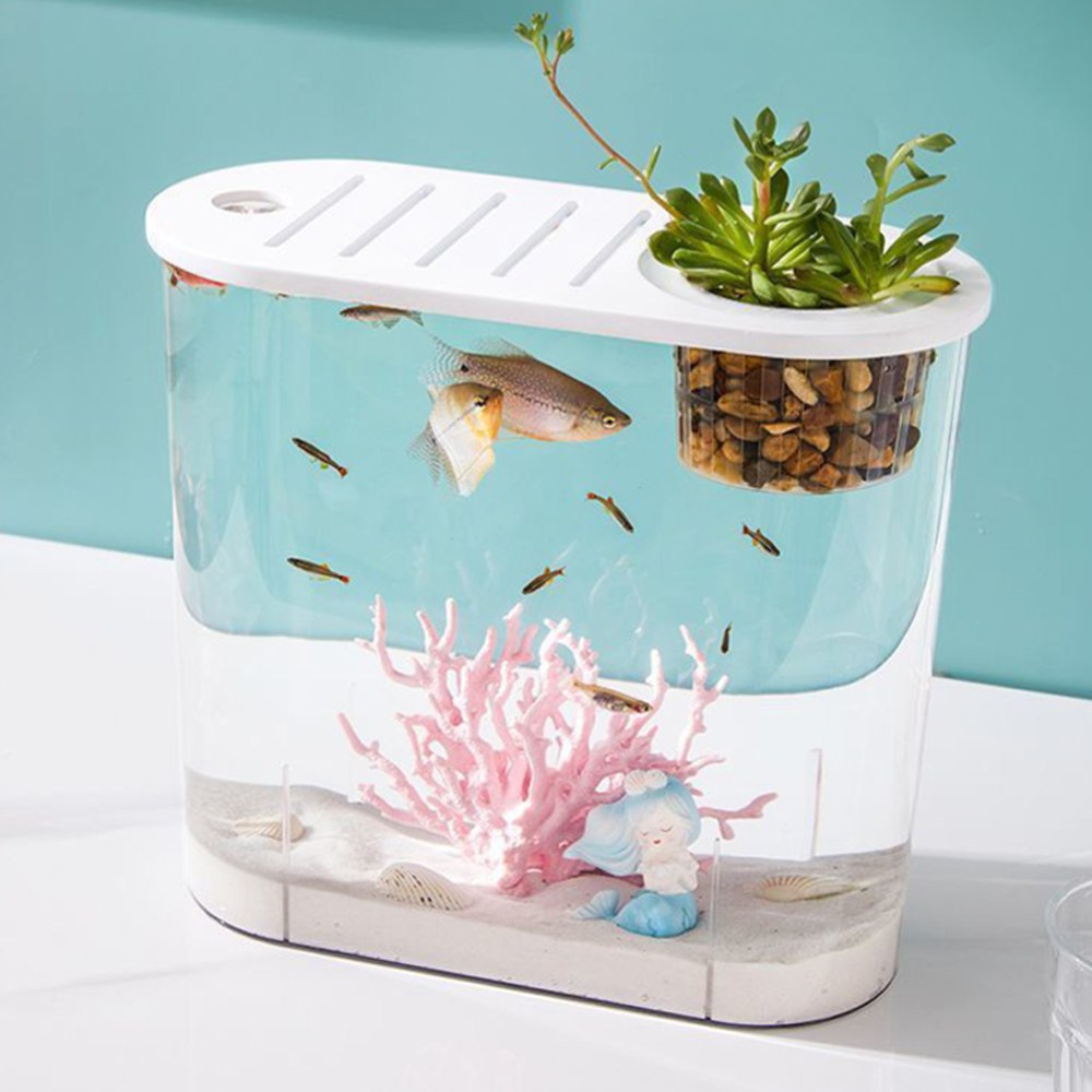 HK.sell 웨일 깨지지않는 곡선형 거북이수조 클린 미니어항 17,380원