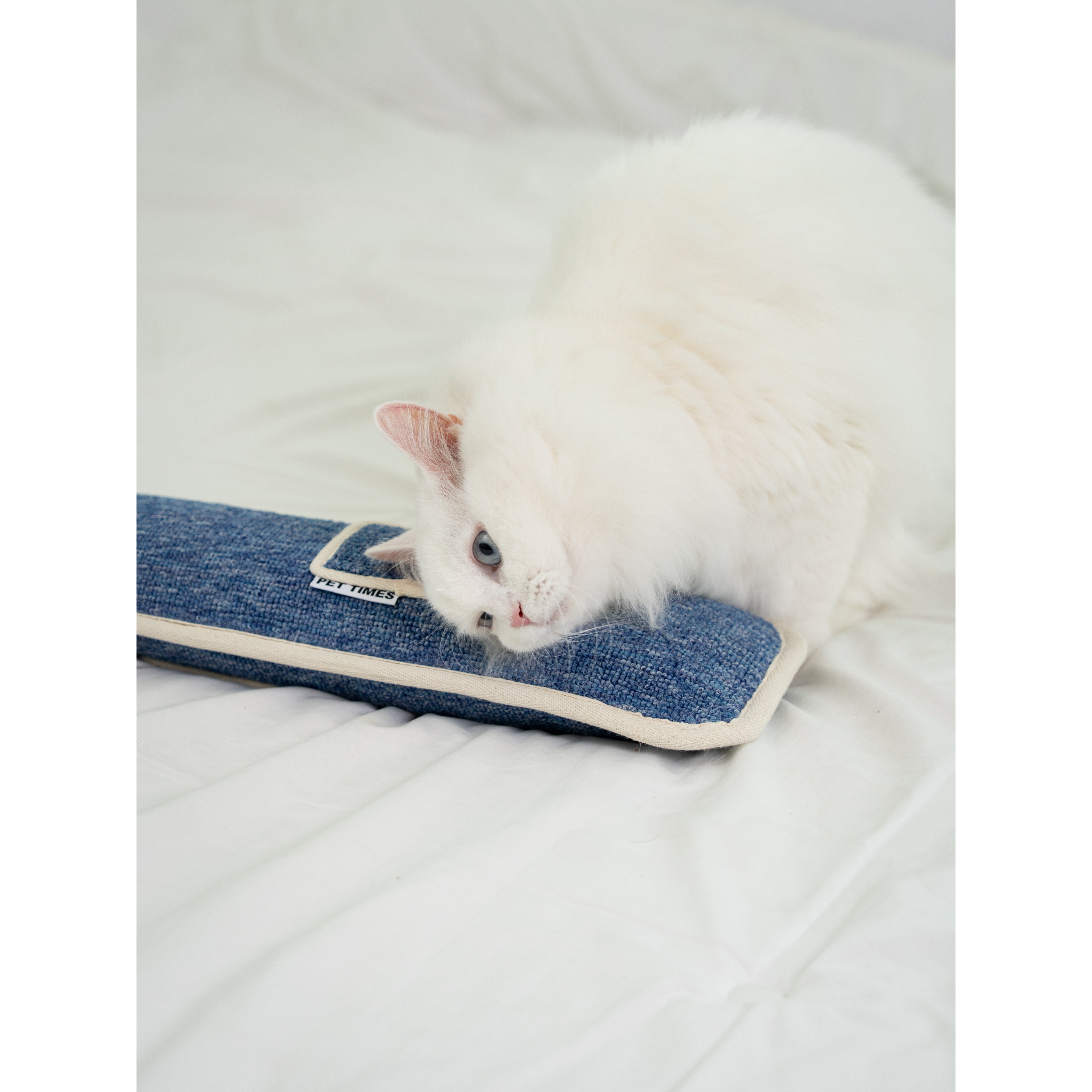 펫타임즈 포켓캣닢쿠션 속 까지 꽉찬 캣닢 쿠션 대형 15,200원