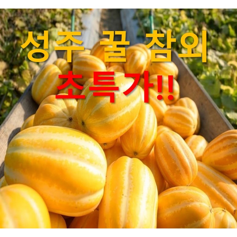 [산지직송] 성주 꿀참외 46,800원