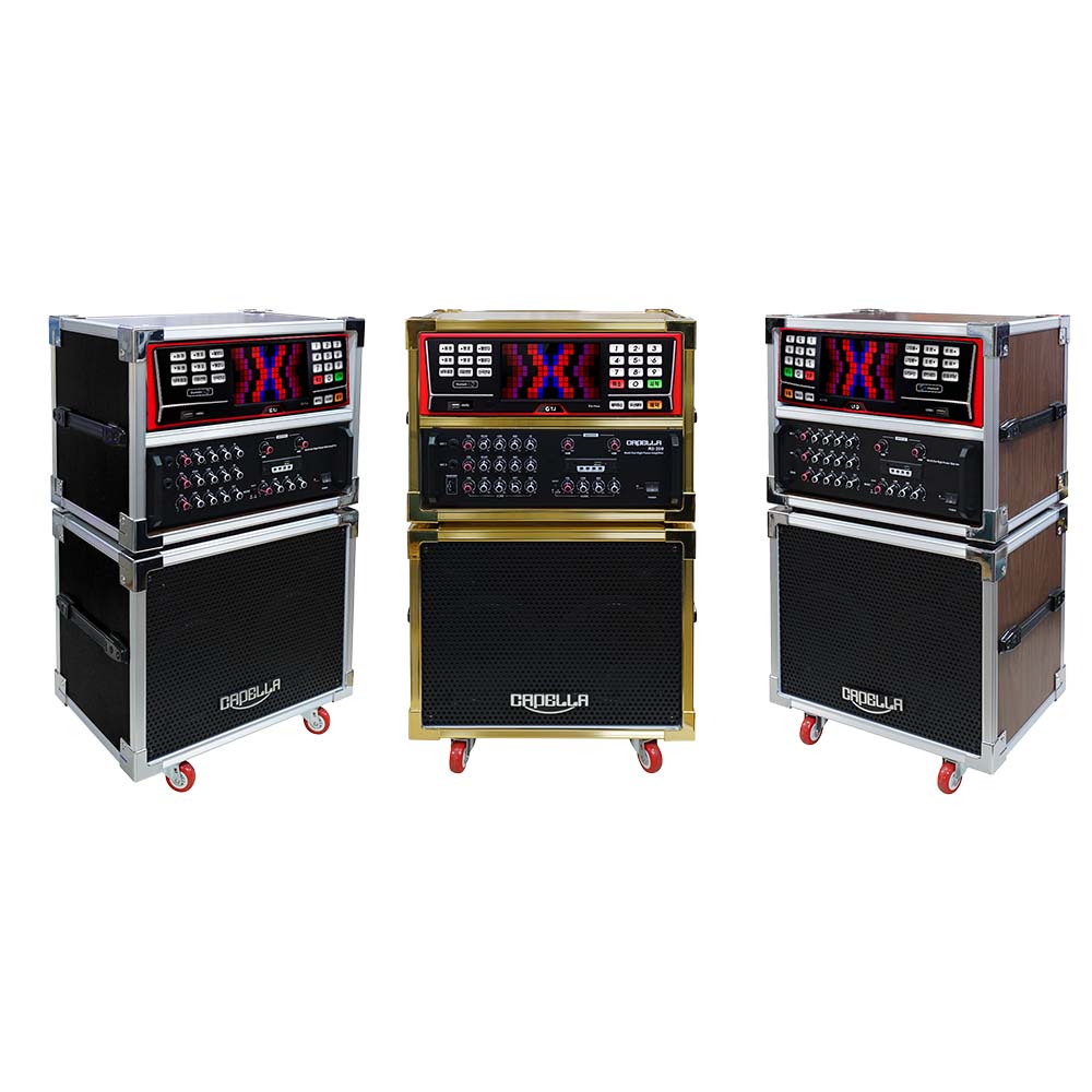 노래방몰 카펠라 이동식노래방기계 프리미엄 미니 이동식케이스 노래방세트 MSC-250 캠핑장,가정,행사,효도선물 ok - 2ch앰프, MS-250BG베이지 1,318,840원