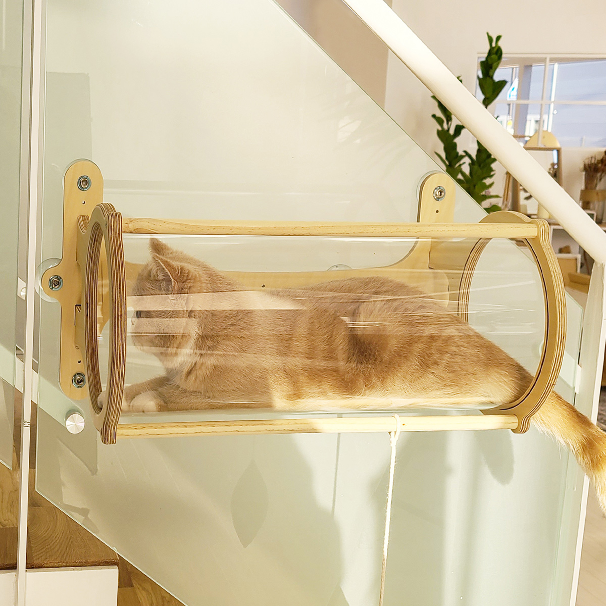 모넬로 썬워커 고양이 터널 GO20221 79,020원