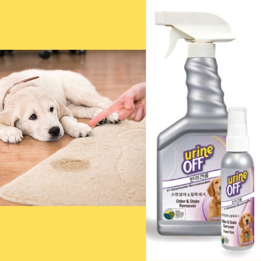 무독성 강아지 소변 냄새 얼룩 제거제 유린오프 118ml 친환경효소 박테리아 34,500원