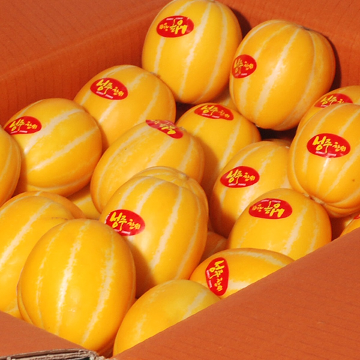 성주 꿀 참외 고당도 산지직송 랜덤과, 1개, 3kg 28,900원