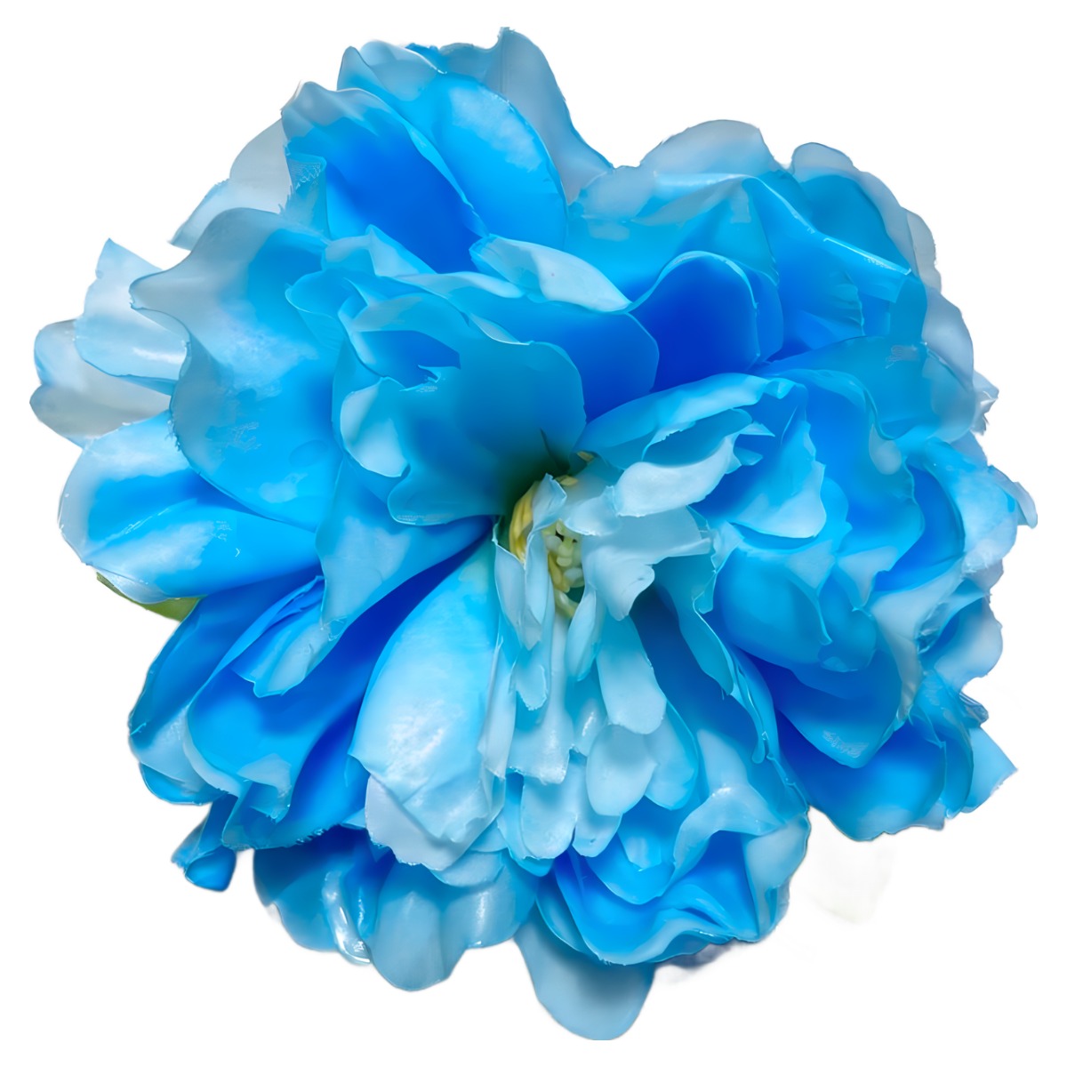 베타꽃침대 1+1 베타 어항꾸미기 은신처, 현재가 12,500원