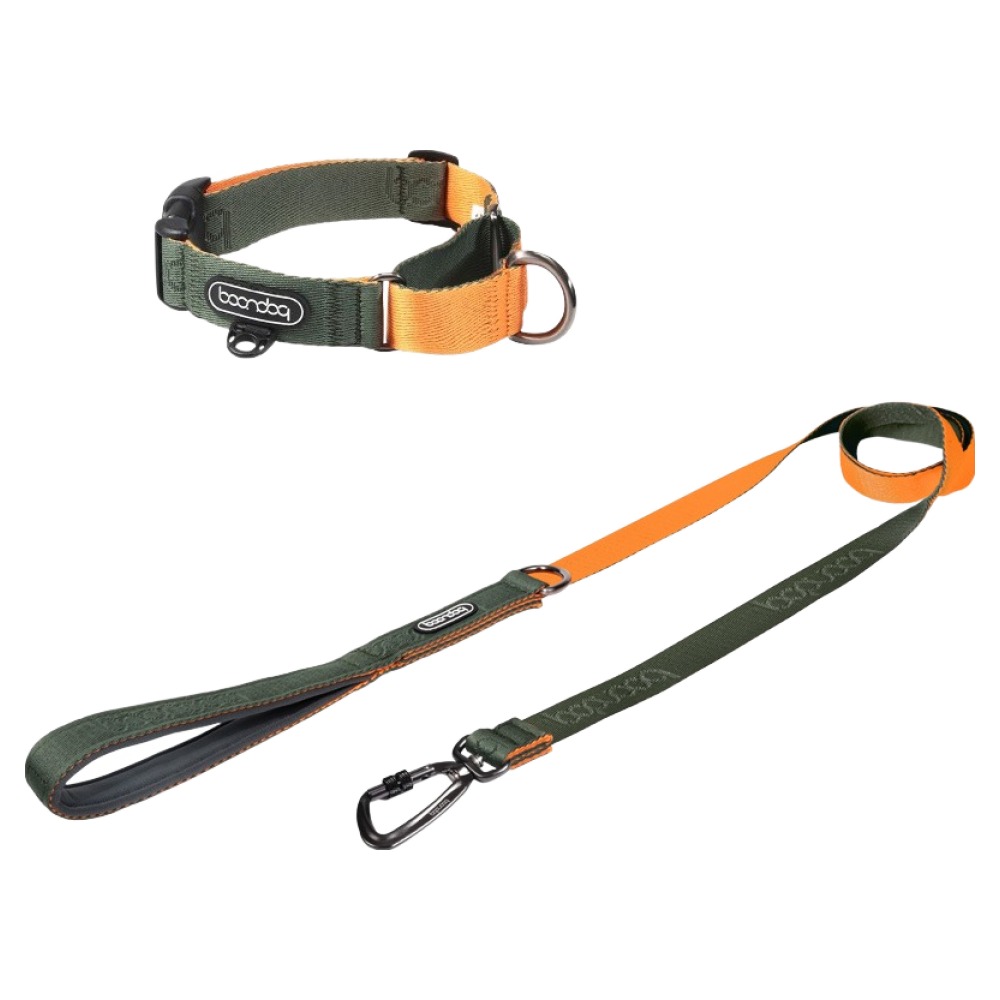 분독 강아지 오리지널리쉬 카라비너 리드줄 1.4m + 마틴게일 목줄 세트 68,000원