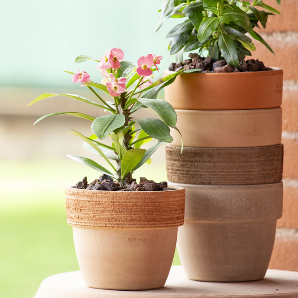 베하몰 바소 팔라디오 PD25 25x22cm 이탈리아 토분 25,400원